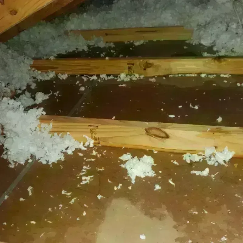 Attic Water Damage in Milford, IN