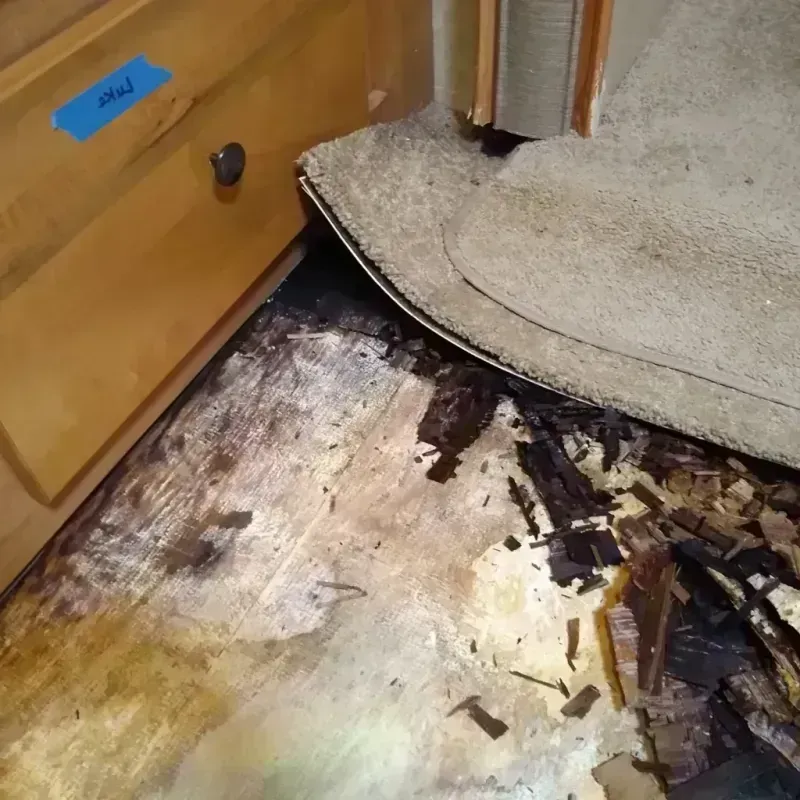 Best Wood Floor Water Damage Service in Milford, IN